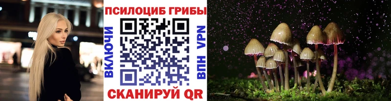 Галлюциногенные грибы мицелий  Можайск 
